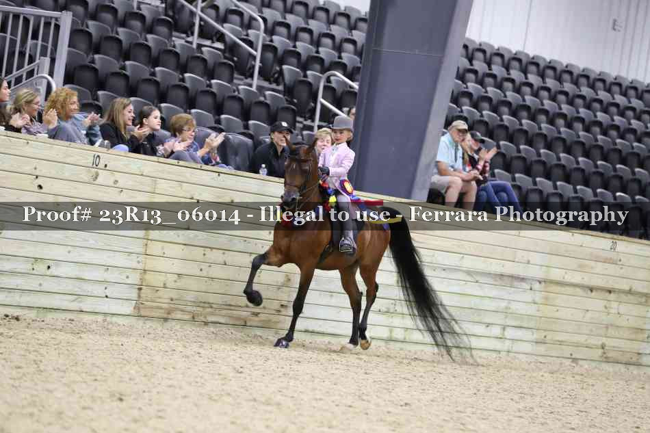 Proof Number 23R13_06014