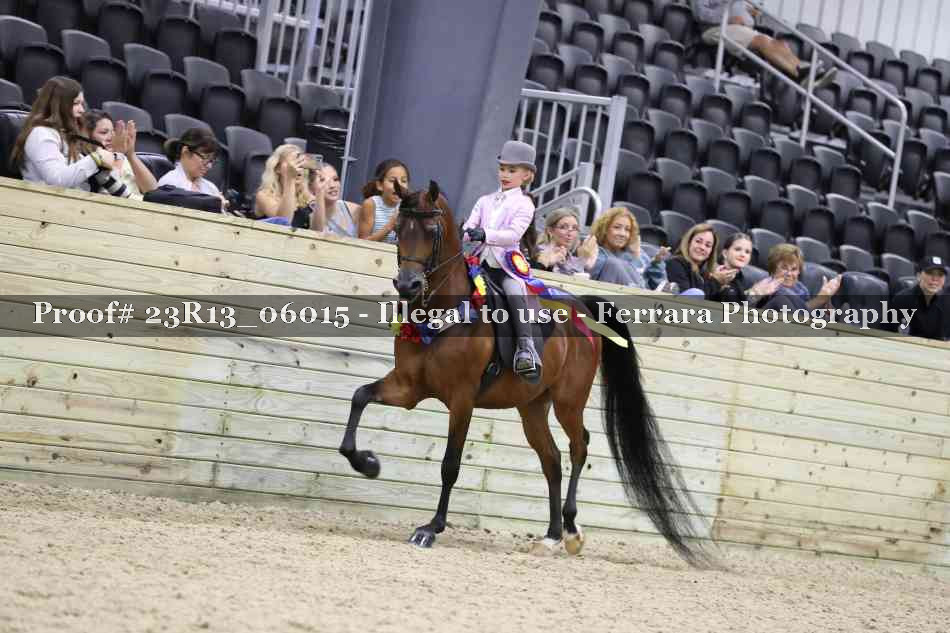 Proof Number 23R13_06015