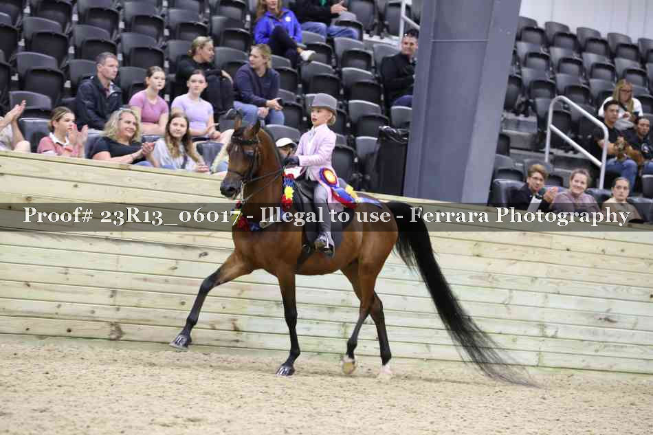 Proof Number 23R13_06017