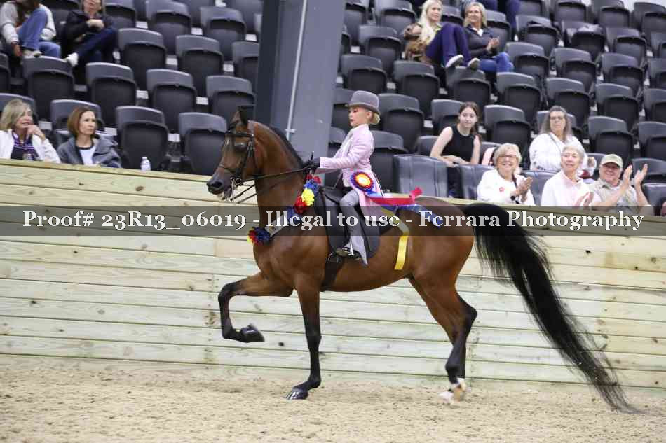 Proof Number 23R13_06019