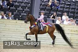 23R13_06019 thumbnail