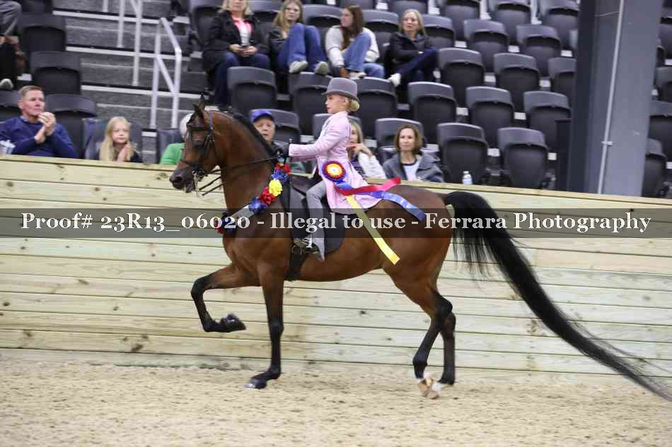 Proof Number 23R13_06020