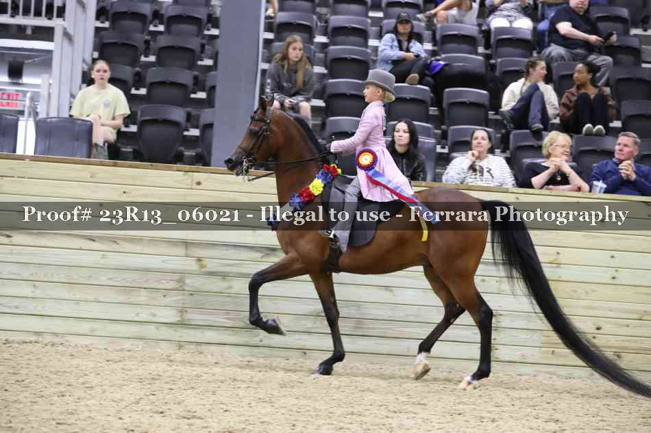 Proof Number 23R13_06021