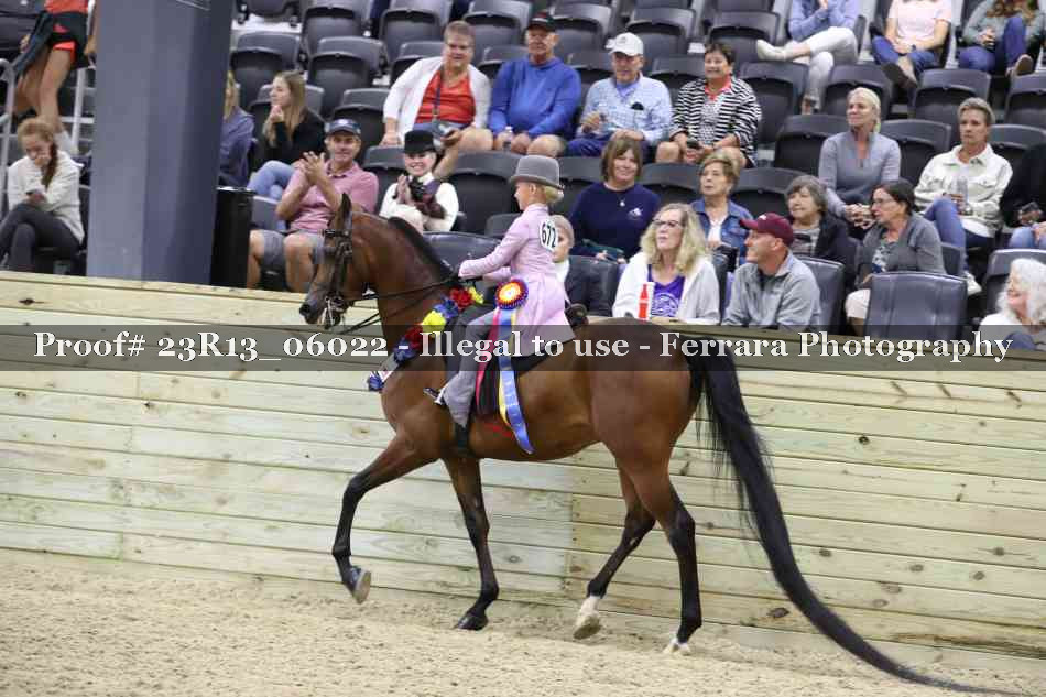 Proof Number 23R13_06022