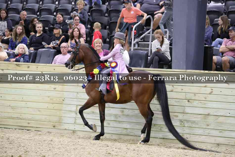 Proof Number 23R13_06023
