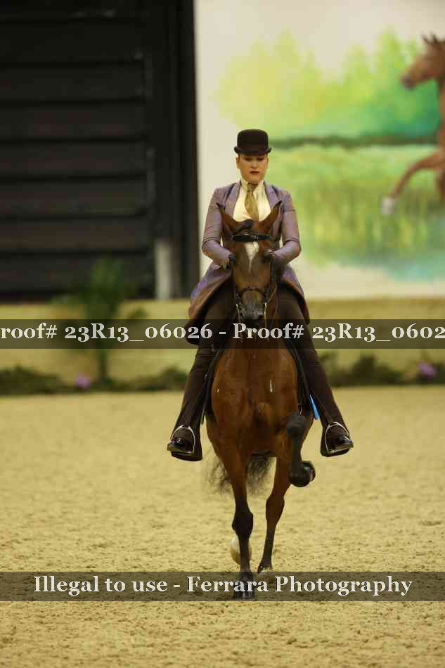 Proof Number 23R13_06026
