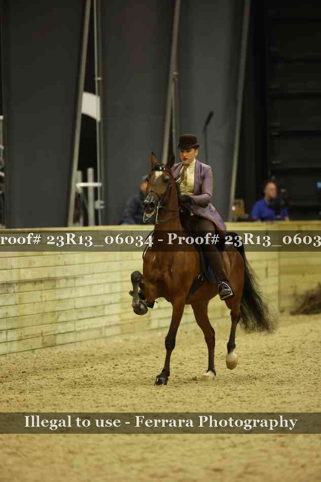 Proof Number 23R13_06034
