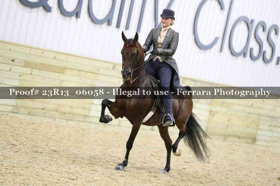 Proof Number 23R13_06058