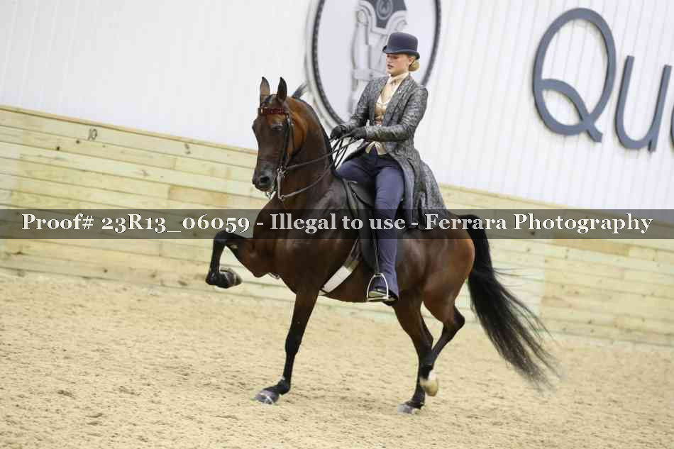 Proof Number 23R13_06059