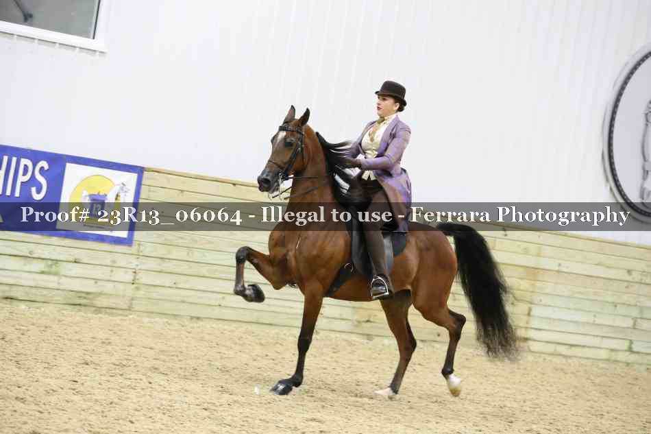 Proof Number 23R13_06064
