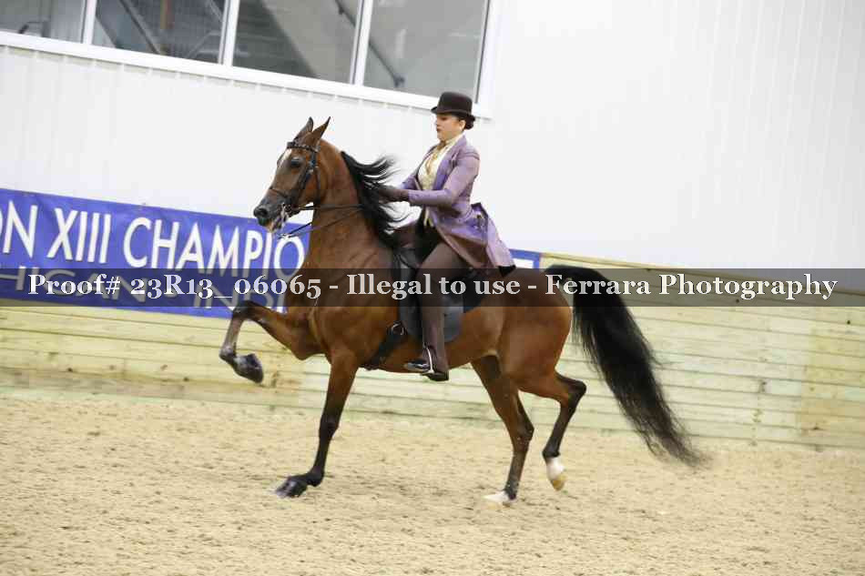 Proof Number 23R13_06065