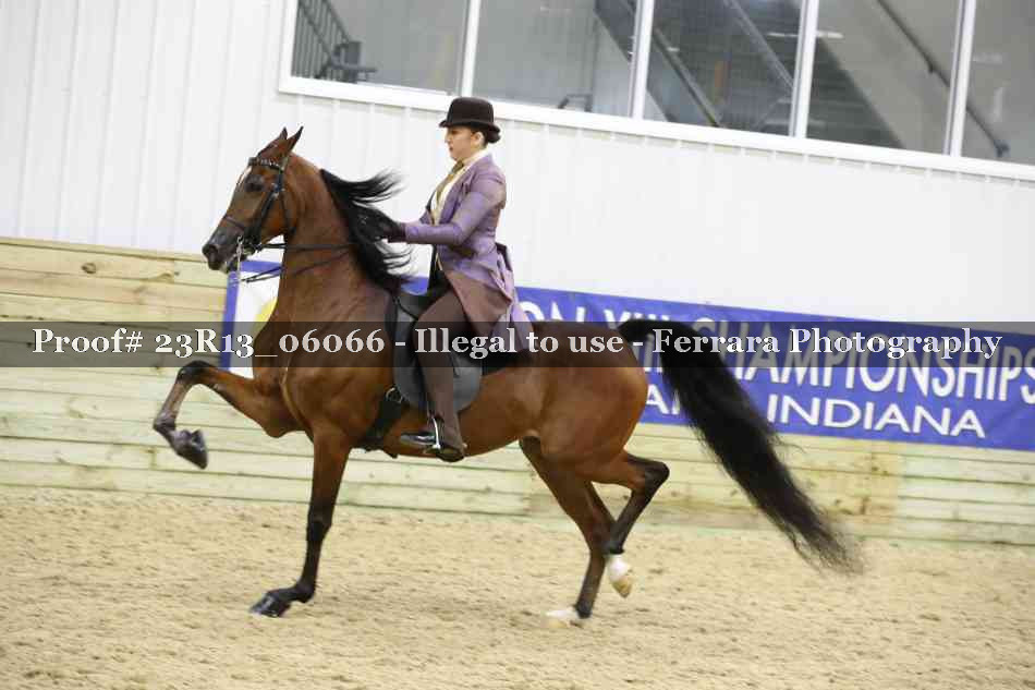 Proof Number 23R13_06066