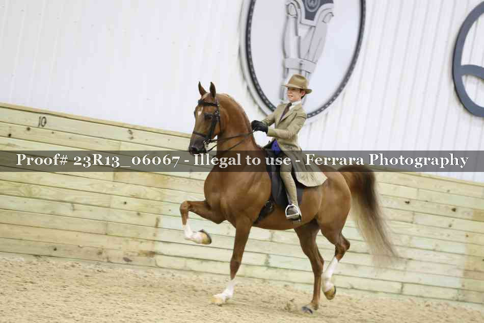 Proof Number 23R13_06067