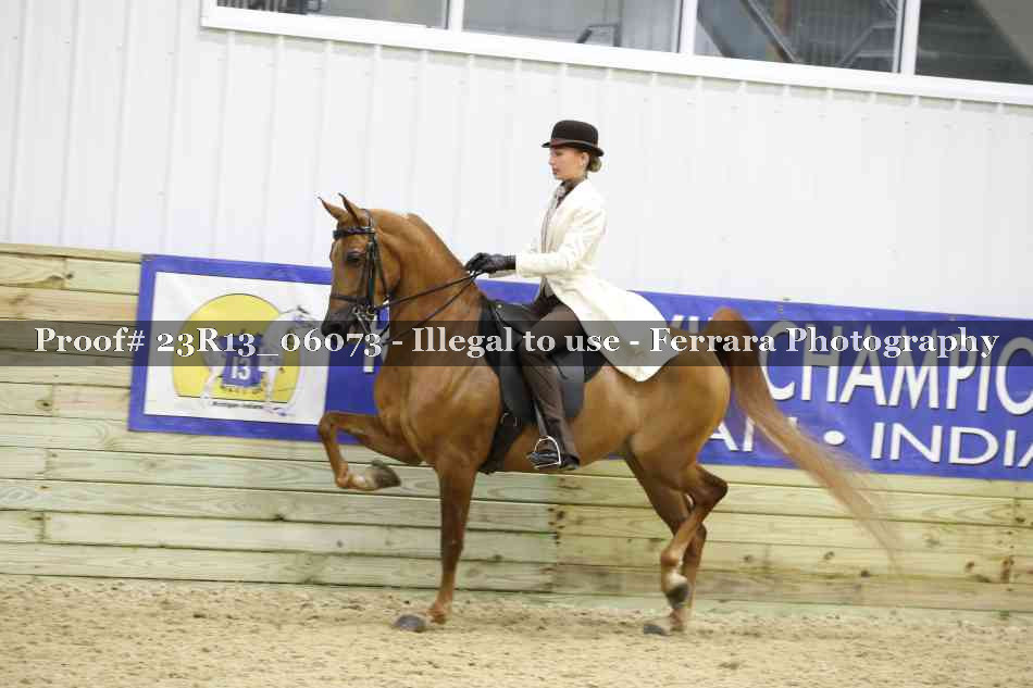 Proof Number 23R13_06073