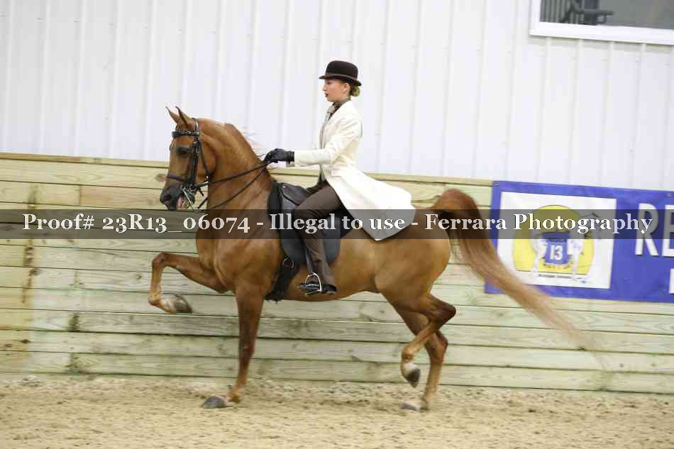 Proof Number 23R13_06074
