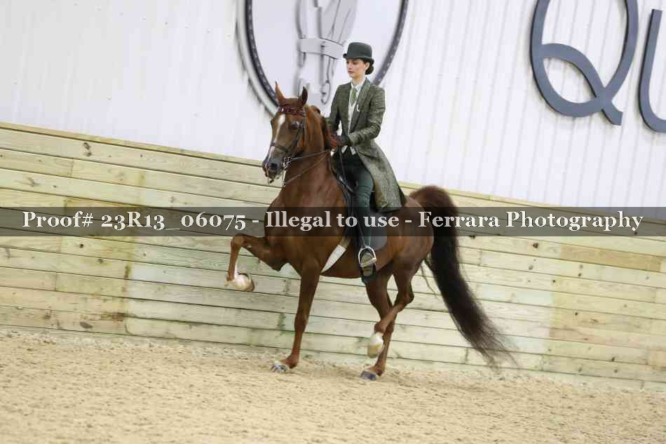 Proof Number 23R13_06075