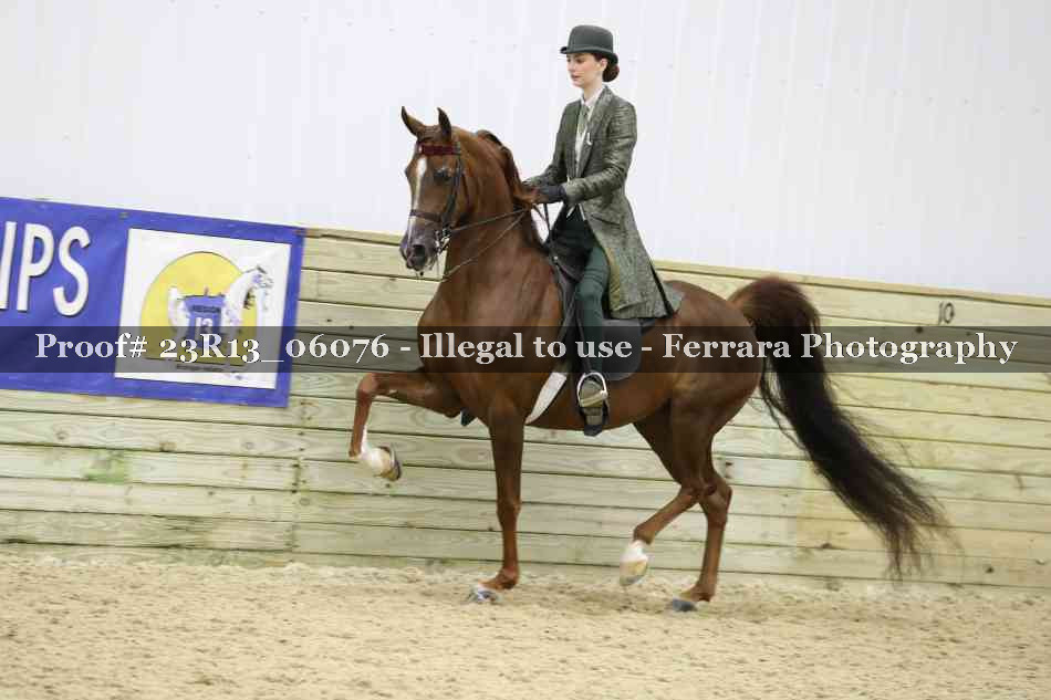 Proof Number 23R13_06076
