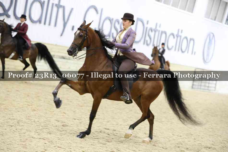 Proof Number 23R13_06077