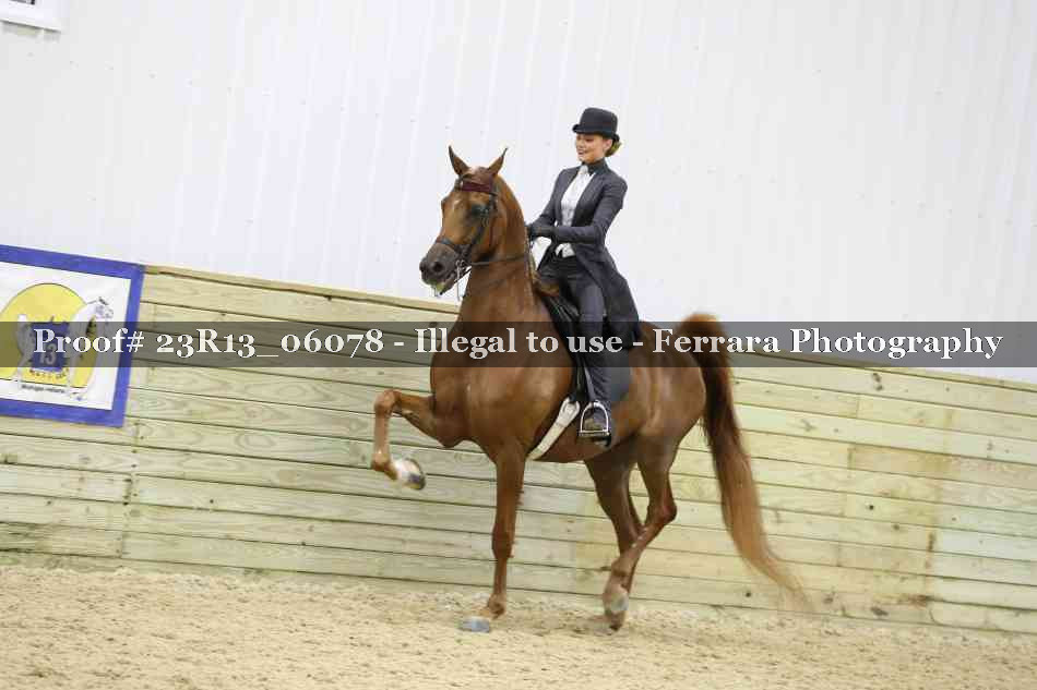 Proof Number 23R13_06078