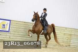 23R13_06078 thumbnail