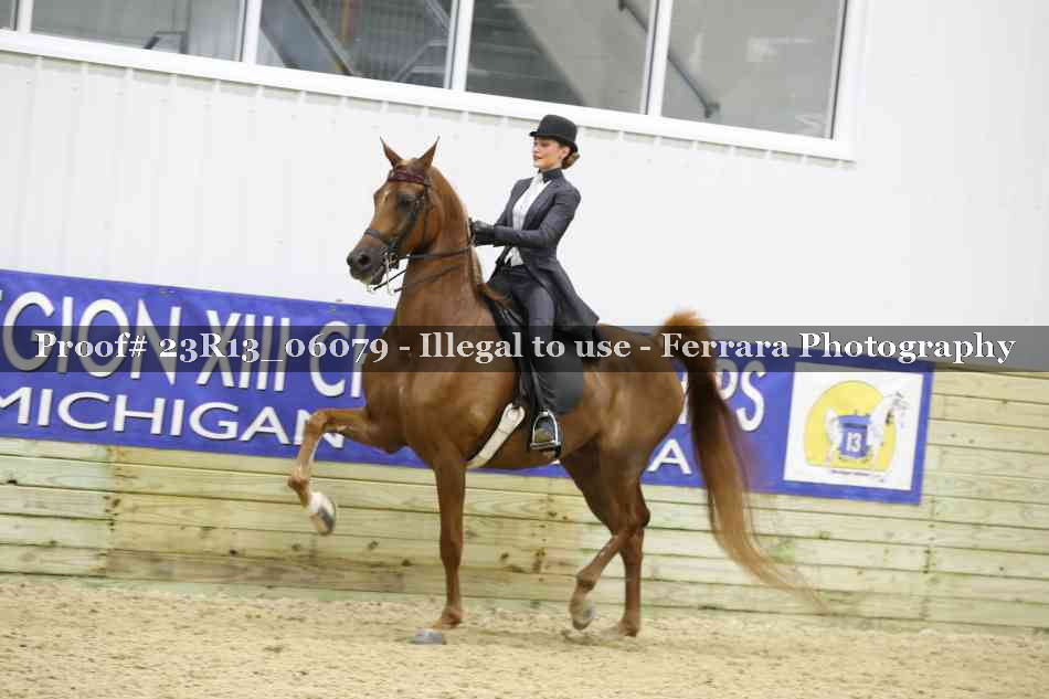 Proof Number 23R13_06079