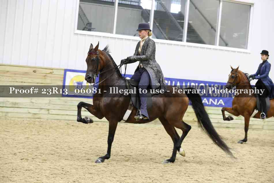 Proof Number 23R13_06081