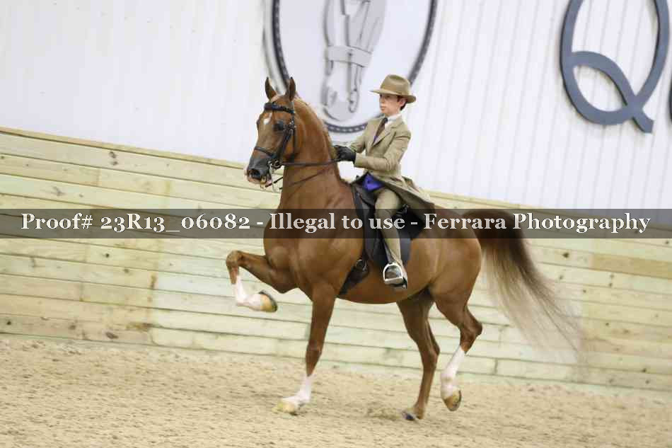Proof Number 23R13_06082