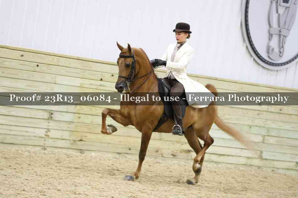 Proof Number 23R13_06084