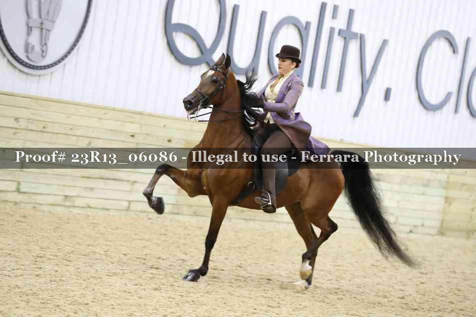 Proof Number 23R13_06086