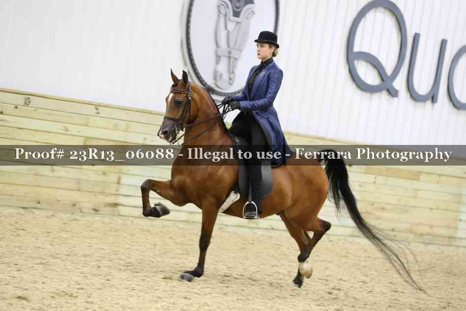 Proof Number 23R13_06088