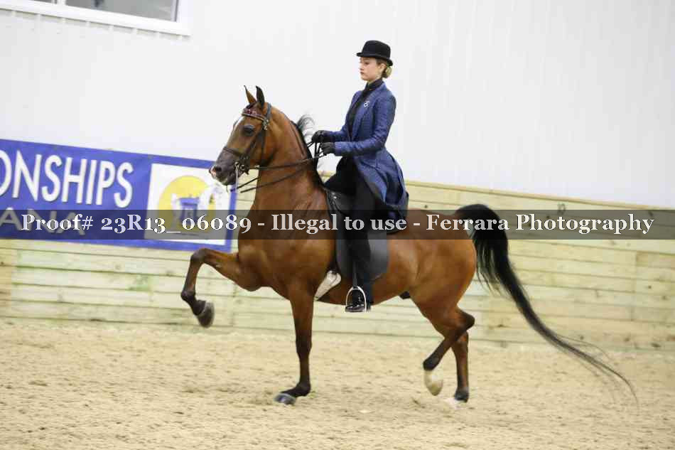 Proof Number 23R13_06089