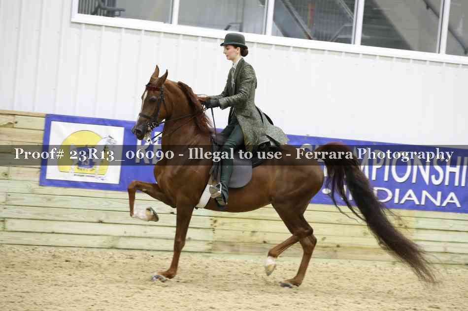 Proof Number 23R13_06090