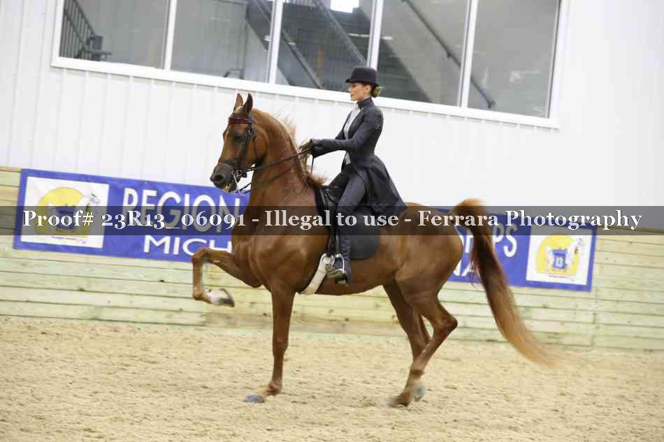 Proof Number 23R13_06091
