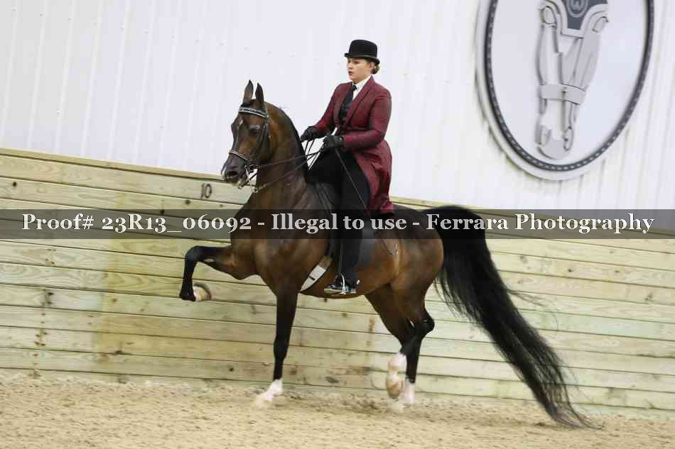 Proof Number 23R13_06092