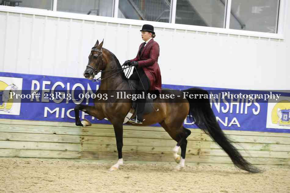 Proof Number 23R13_06093