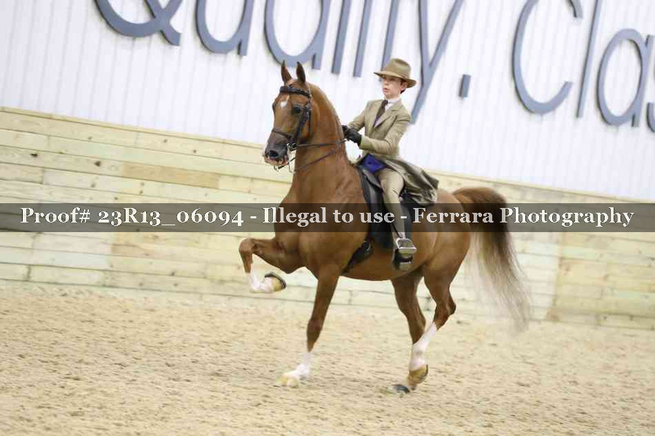 Proof Number 23R13_06094