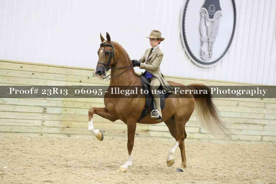 Proof Number 23R13_06095