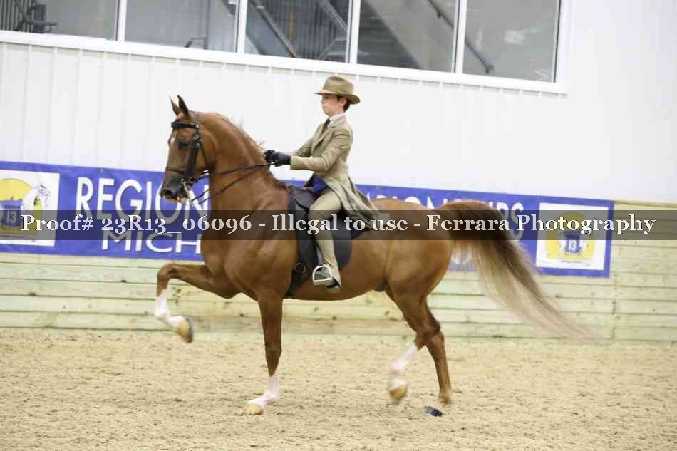 Proof Number 23R13_06096