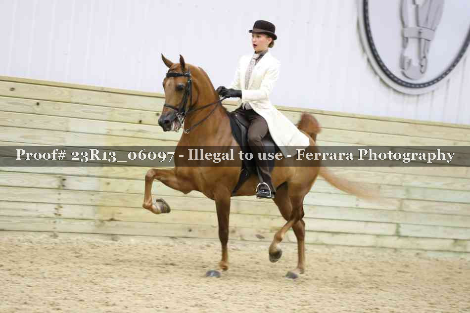 Proof Number 23R13_06097