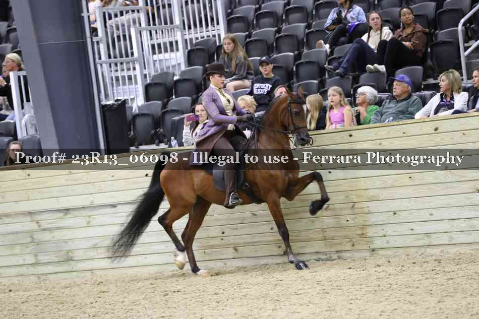 Proof Number 23R13_06098