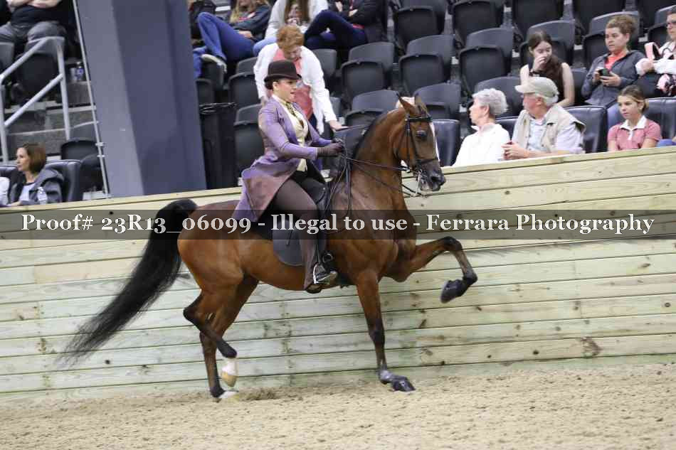 Proof Number 23R13_06099