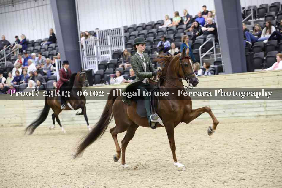 Proof Number 23R13_06102