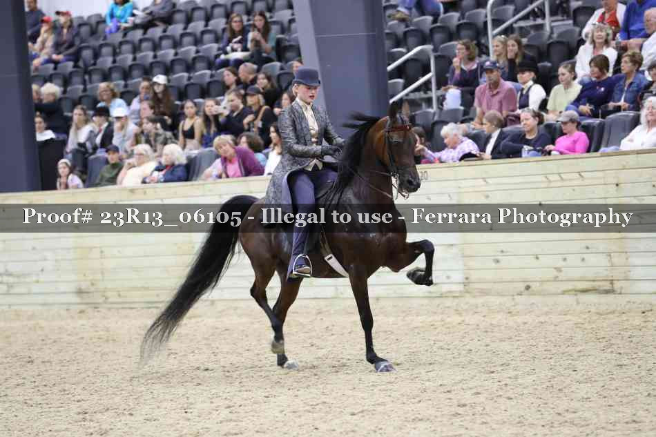 Proof Number 23R13_06105