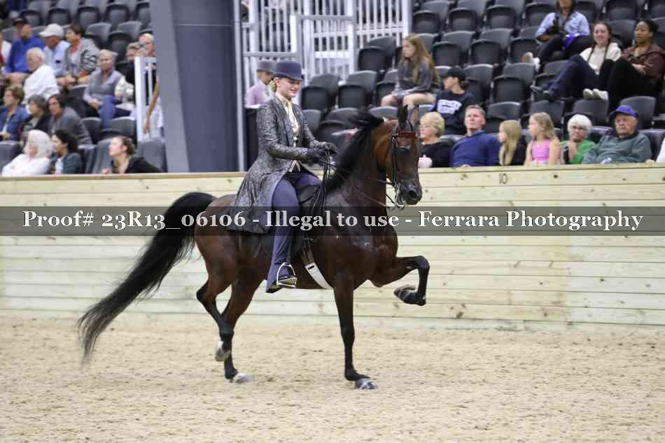 Proof Number 23R13_06106