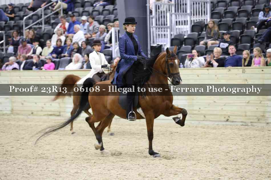 Proof Number 23R13_06108