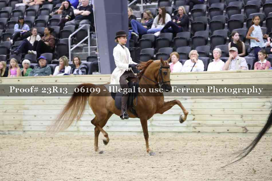 Proof Number 23R13_06109