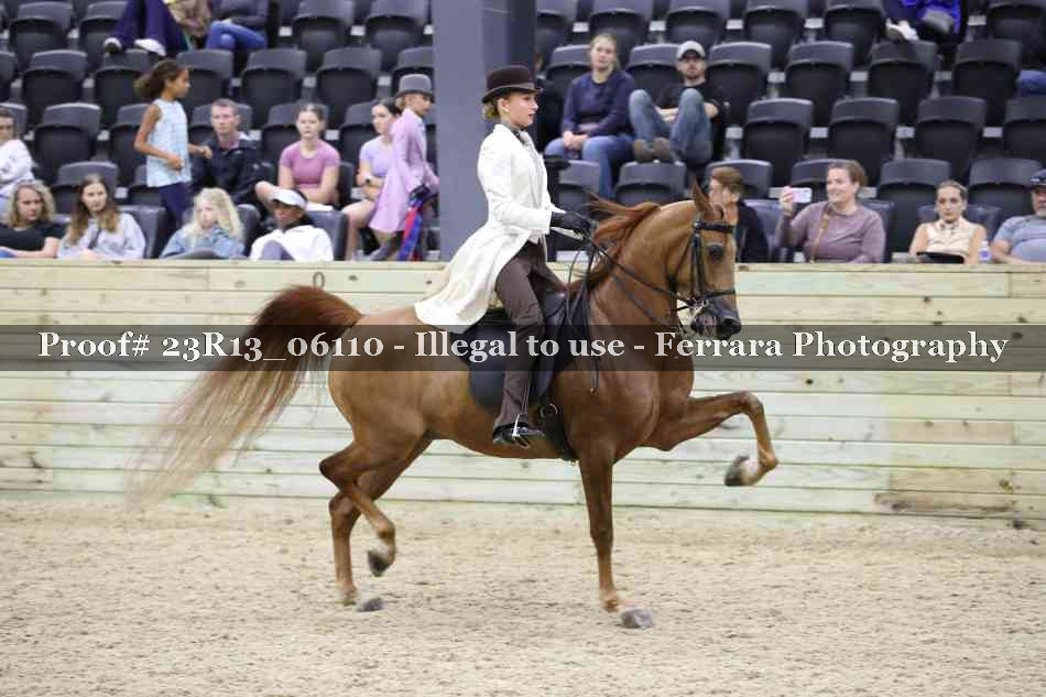 Proof Number 23R13_06110