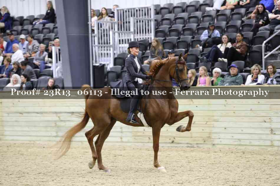 Proof Number 23R13_06113