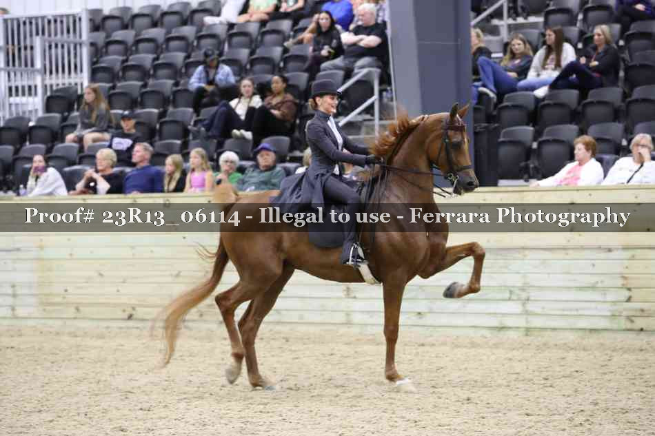 Proof Number 23R13_06114