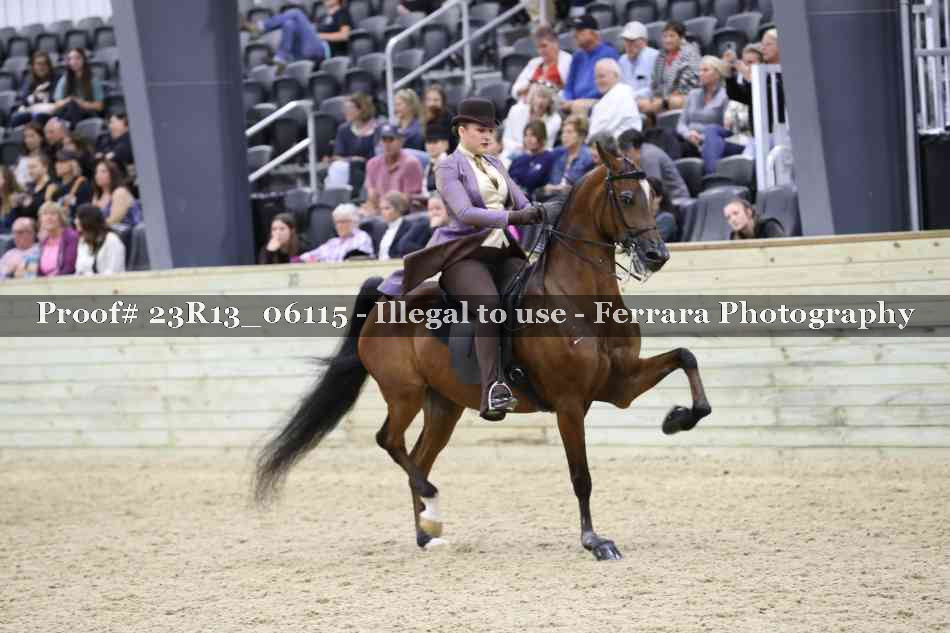 Proof Number 23R13_06115